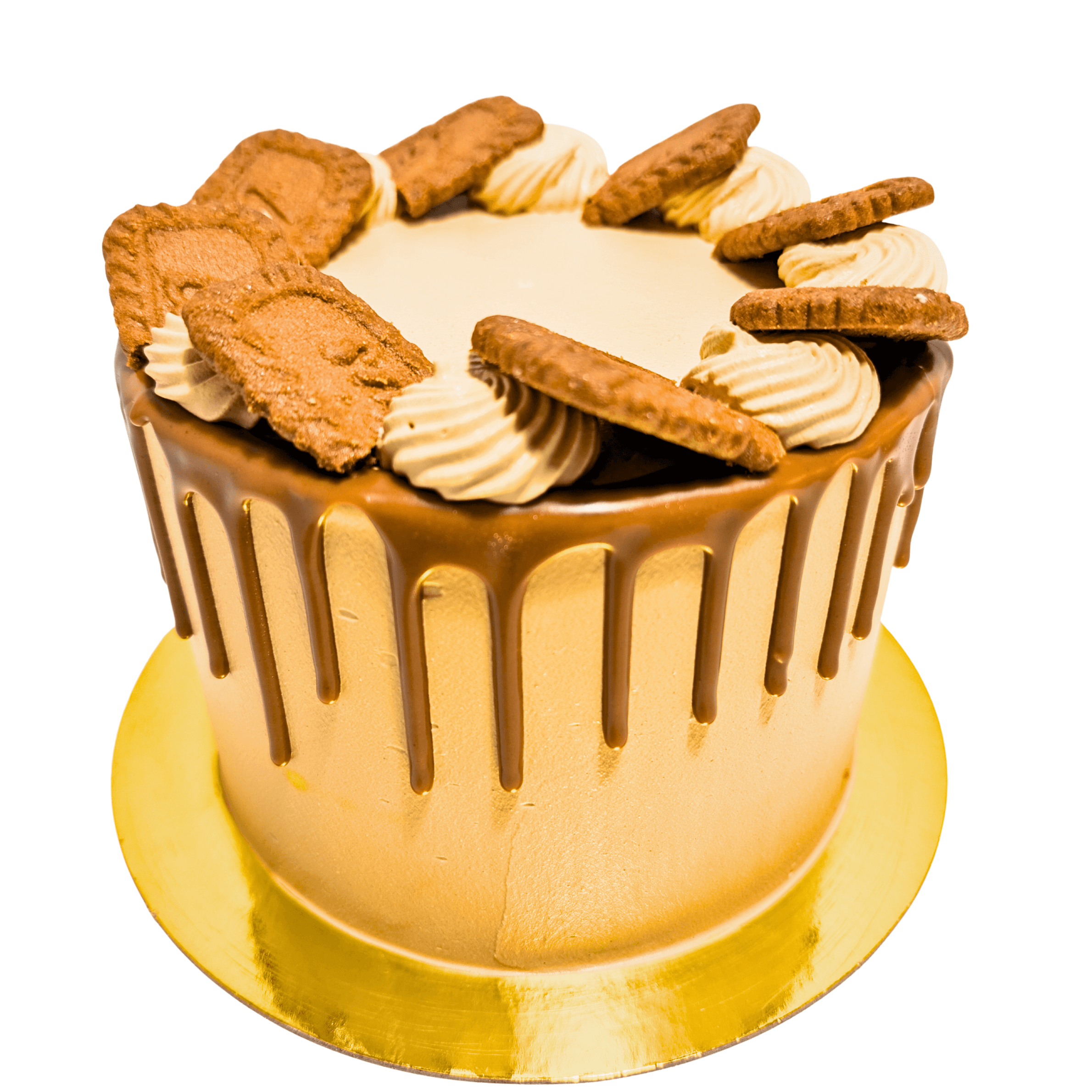 Chocolate Biscoff Cake